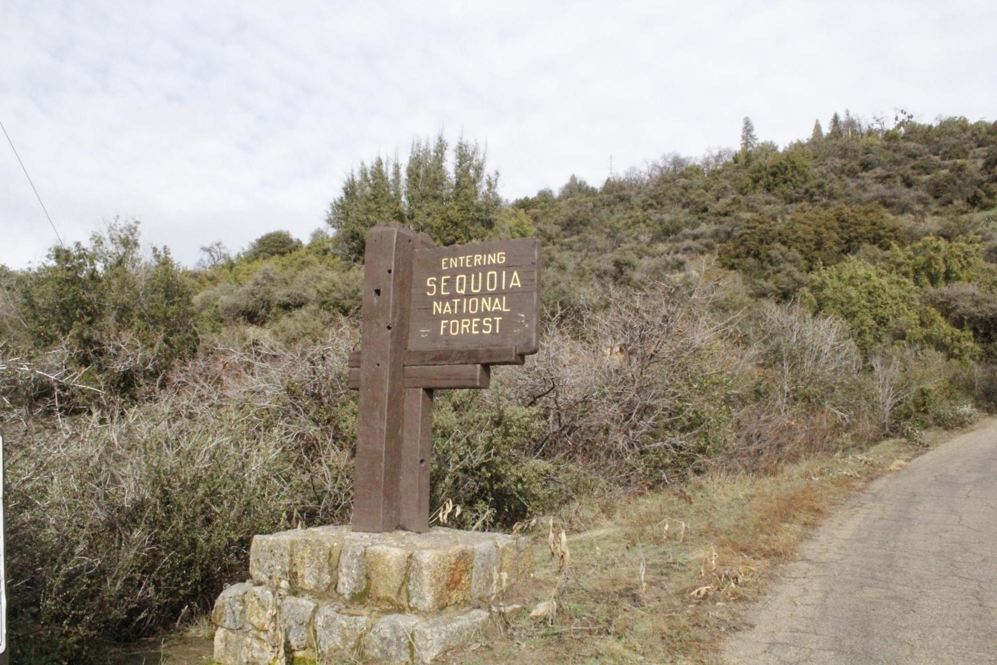 Hummingbird Hill - Entire *
