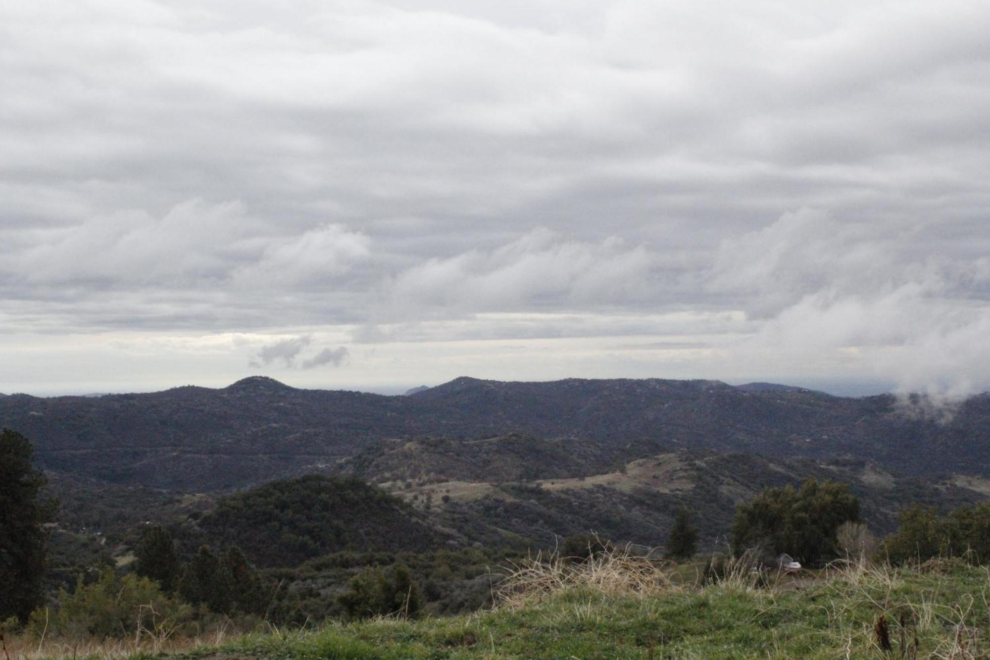 Hummingbird Hill - Entire * Dunlap